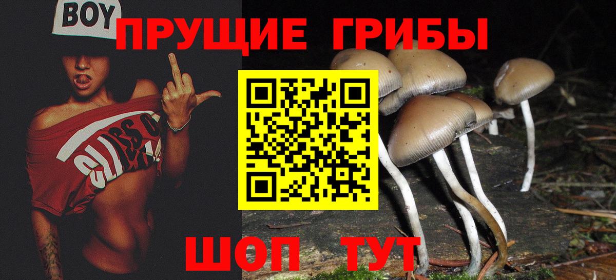 Галлюциногенные грибы мухоморы Приморско-Ахтарск
