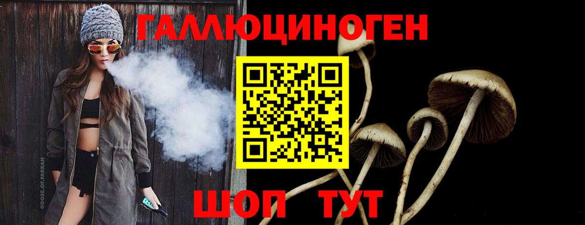 Псилоцибиновые грибы MAGIC MUSHROOMS  Вход с VPN  Приморско-Ахтарск 